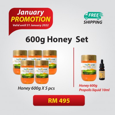 600g Honey Set